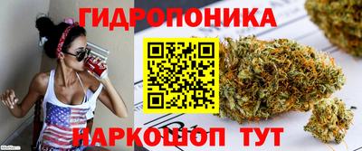 индика Ликино-Дулёво